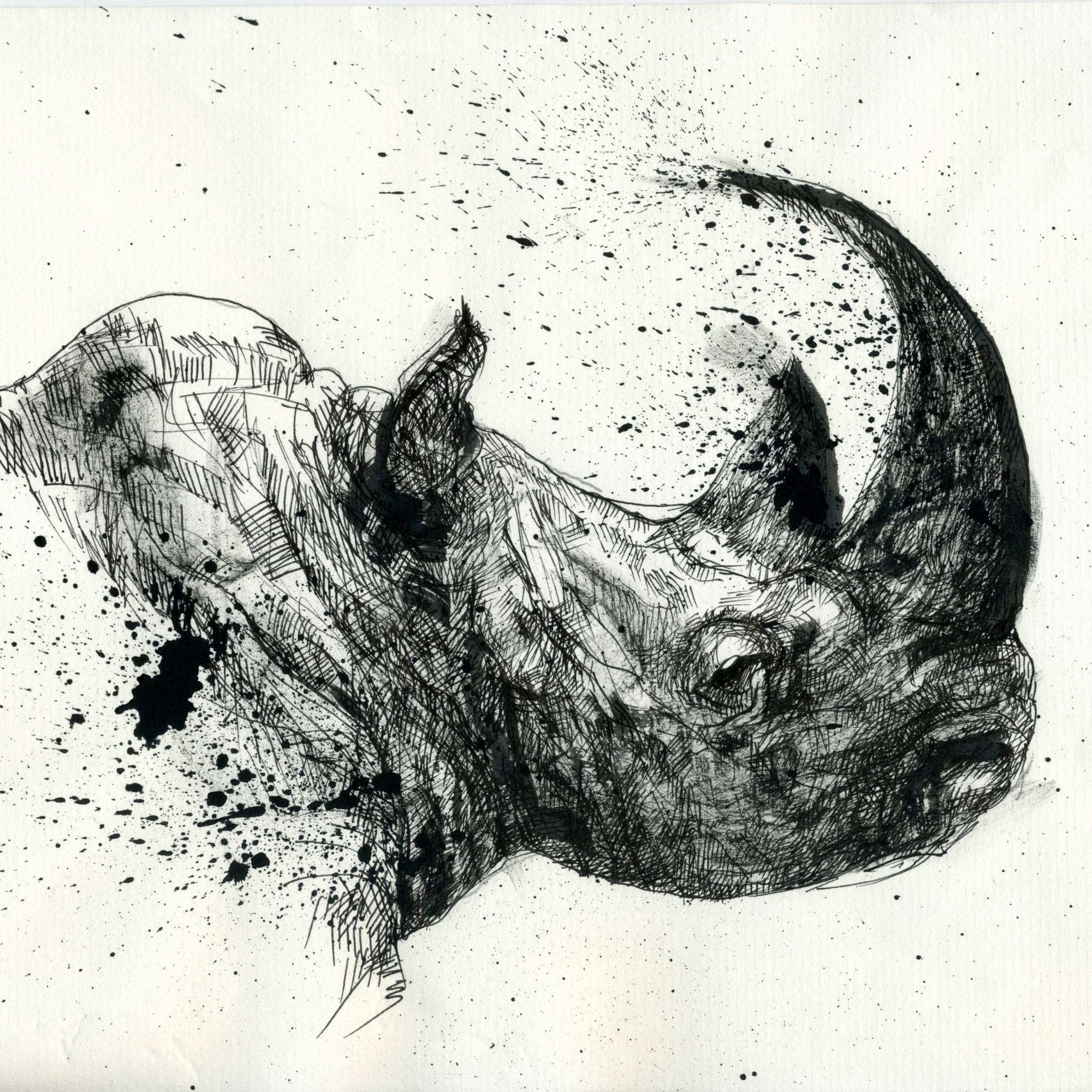 Ink illustration of rhinoceros